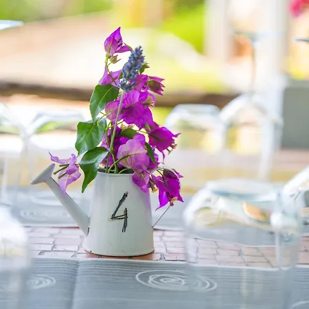 Apart-hotel Borgo Felciaione Riparbella