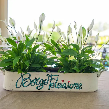 Borgo Felciaione ريباربيلا